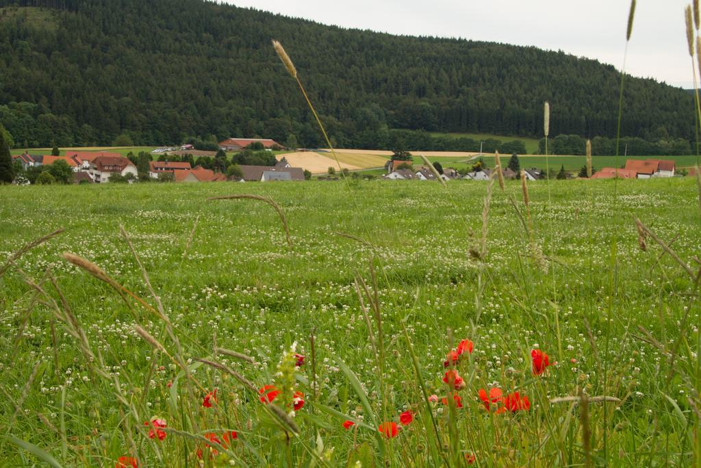 Fewo Alte Schule Willingen  Zewnętrze zdjęcie