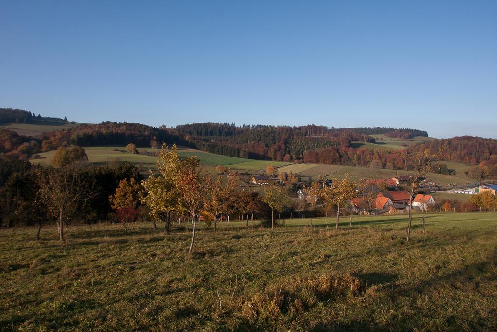 Fewo Alte Schule Willingen  Zewnętrze zdjęcie